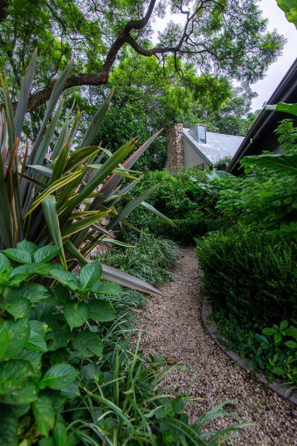 Festina Lente Guesthouse Johannesburg Ngoại thất bức ảnh
