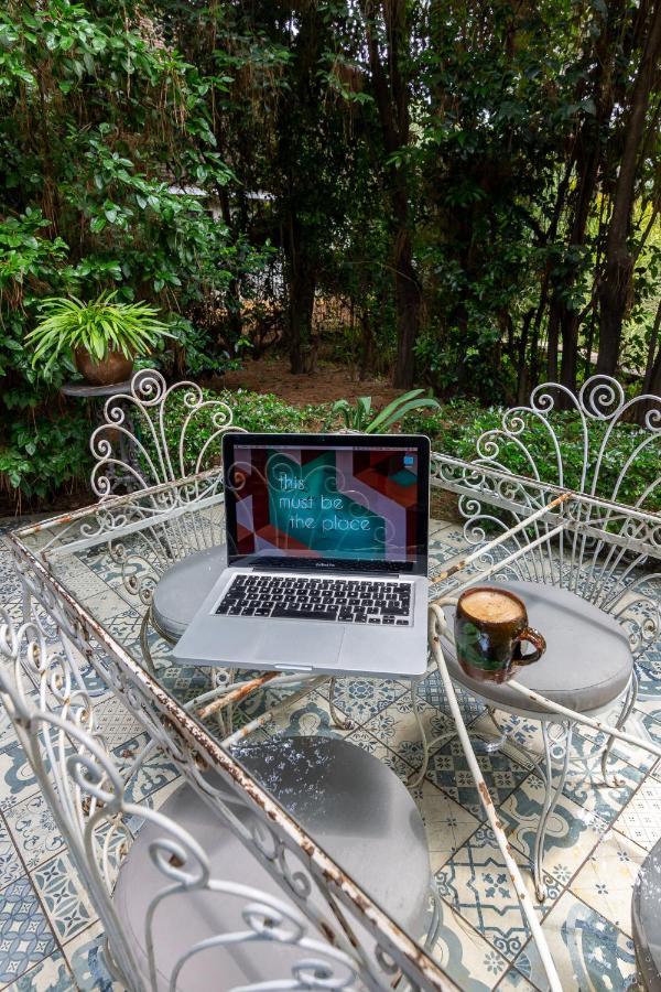 Festina Lente Guesthouse Johannesburg Ngoại thất bức ảnh